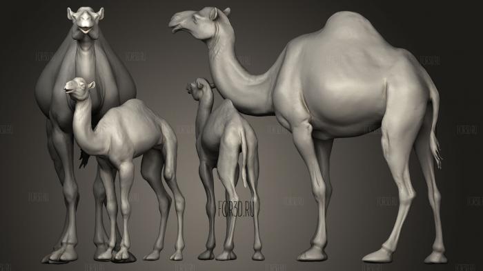 Dromedary Camels stl model for CNC